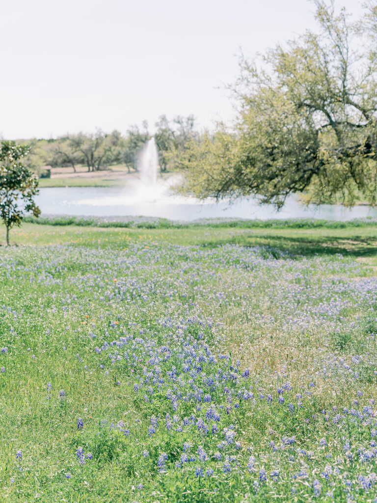 fountain with lilacs at Ma Maison wedding venue in Dripping Springs, Texas