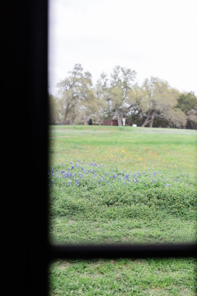 wildflower field at Ma Maison, a wedding venue in TX