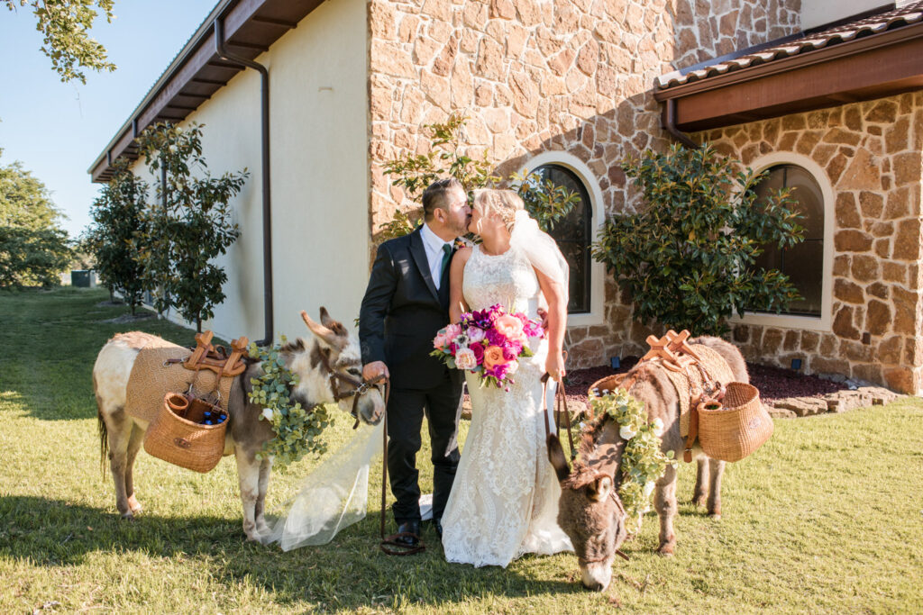 Groom kisses bride while standing beside two miniature donkeys in floral garlands