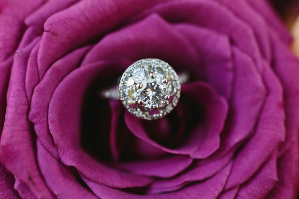 Halo lab-grown diamond ring displayed in a bold purple rose